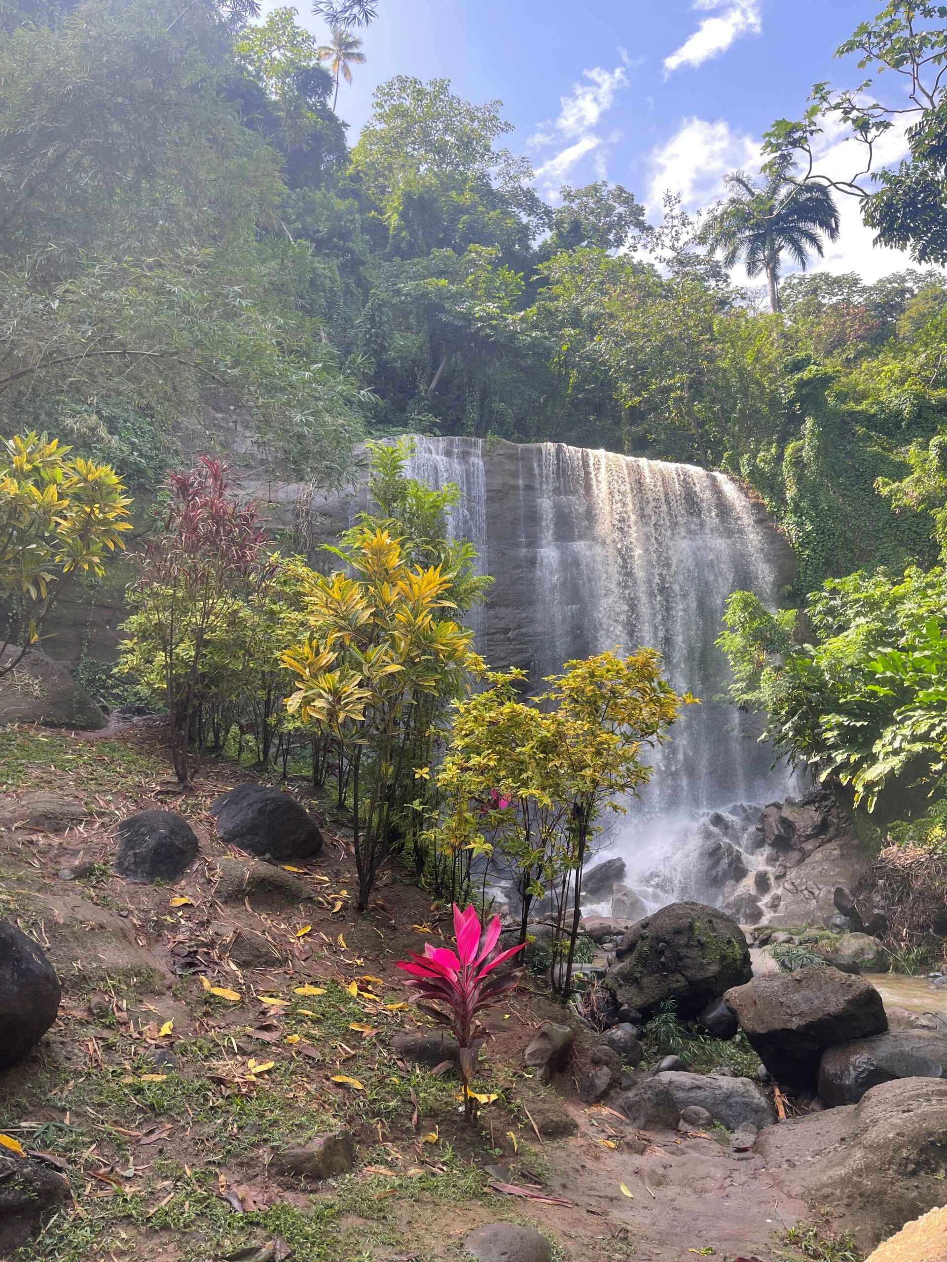 Tropical Waterfall