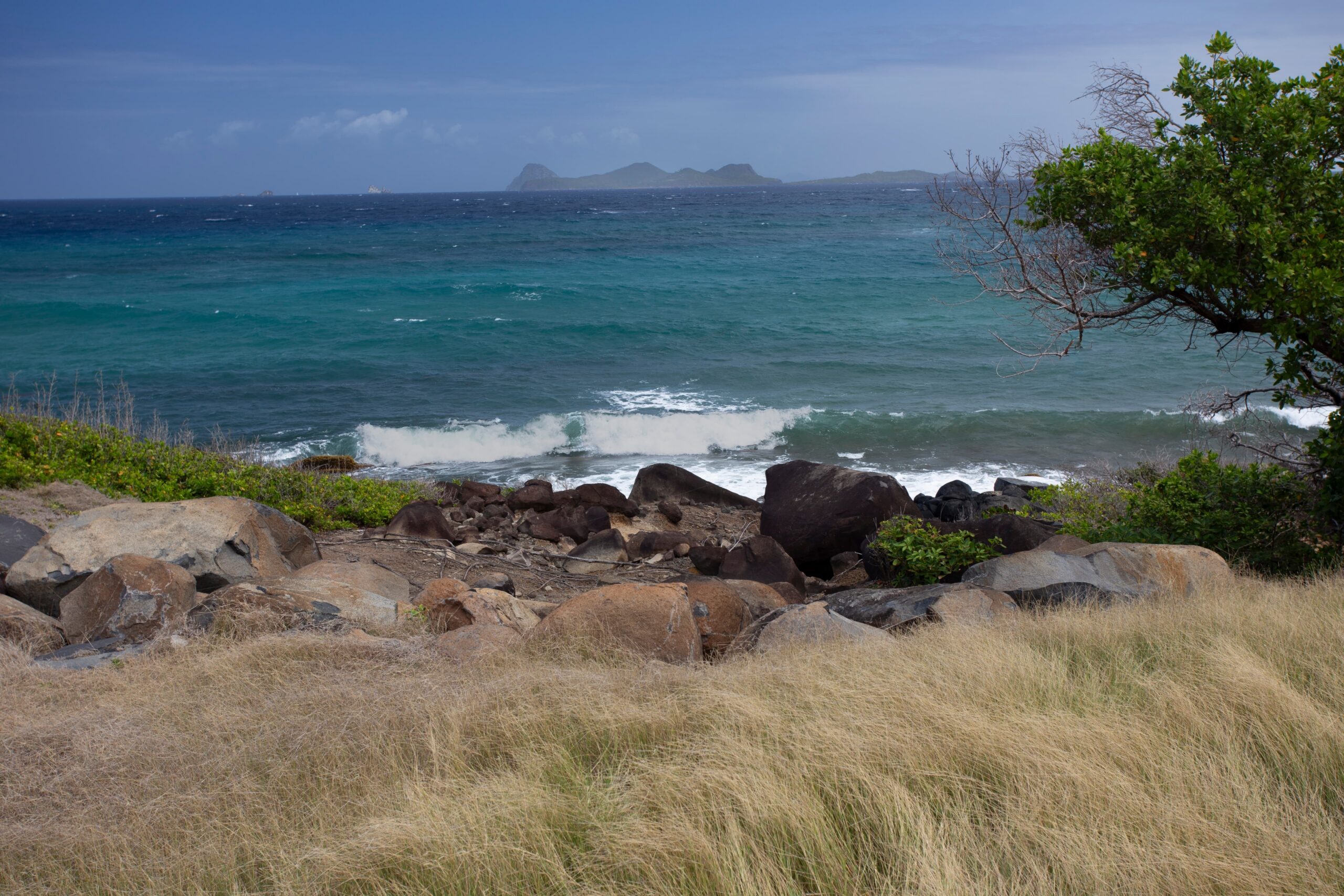 Rocky Coastal Beach